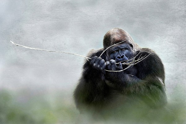 J1S1I29